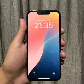 iPhone 13 Pro 256Gb Beacukai