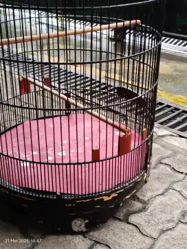Kandang ebod no 3 msih keker di jual aja nih . Negoin sewajarnya