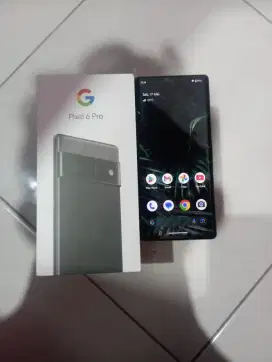 Google pixel 6pro