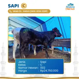 Jual Domba Sapi sesuai syariat untuk kebutuhan qurban