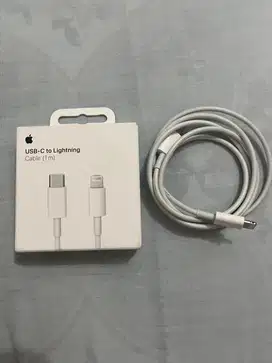 USB C to Lightning