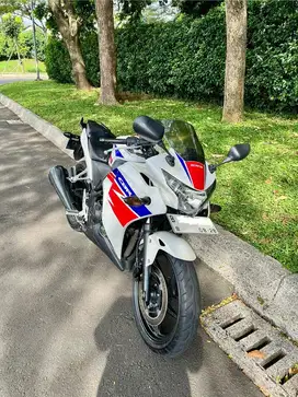 HONDA CBR 250R RWB terawat
