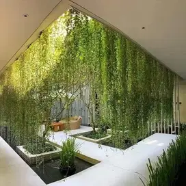 Taman minimalis jenis lee kwan yew