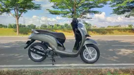Honda Scoopy stylish original greess maksimal 2020