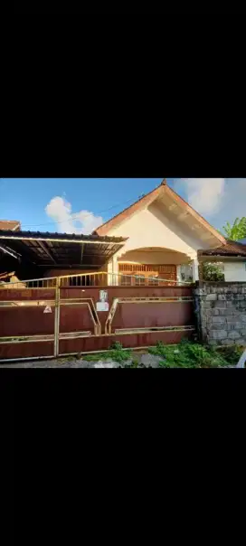 Dijual tanah 2,51 are di made bina ubung denpasar utara