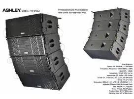 Speaker Ashley Line Array TW 210LA Original Pasif