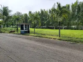 Tanah Kavling Strategis Tropikana Jababeka Luas 521m2 Cikarang
