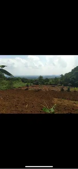 Tanah Cantik Stategis 15 Minute Gerbang Tol Sentul Selatan