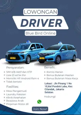 Dibutuhkan Drivers Bluebird