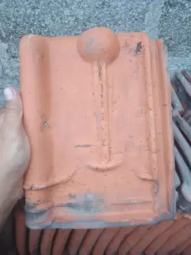 Genteng kodok layang pakai masih bagus