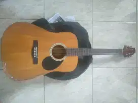 Gitar Greg Bennett