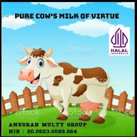 Susu sapi murni