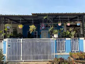 Rumah minimalis terjangkau