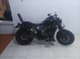 Kawasaki ninja 250 custom
