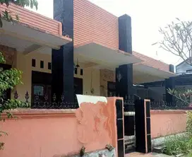 Disewakan Rumah di Indrapasta