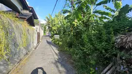 Dijual tanah komersil lokasi petitenget