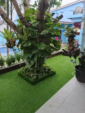 rumput Sintetis murah di bandung bisa cod