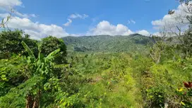 Dijual Tanah Lingkungan Tenang Busungbiu, Buleleng