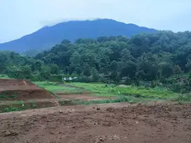 Tanah di puncak bogor luas 220m2 udara dingin 900mdpl