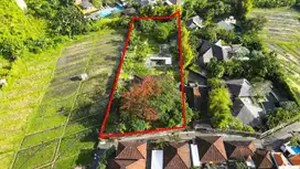 Tanah Langka Di Umalas Hanya 5 Menit Ke Noox Resto