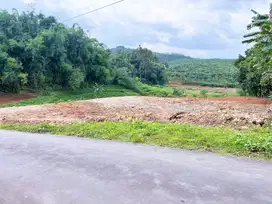Tanah Datar Tepi Jl DPU Mojogedang Karanganyar