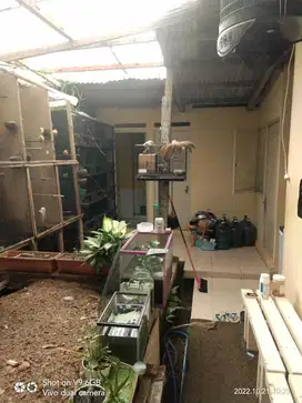 Dijual Rumah Luas 500m2 di Lembang Bandung Barat
