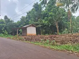 Kavling Murah Setu Bekasi, Pasti SHM, Jalan Cor 5 Meter