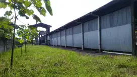 Tanah ex pabrik siap pakai SHM+ijin industri Plywood lengkap (CL 186)