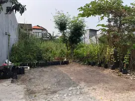 ‼️JUAL CEPAT‼️COCOK DIKAVLING TANAH BUNCITAN SEDATI SIDOARJO