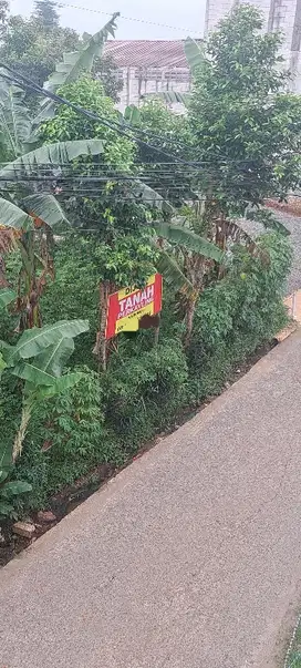 Jual tanah kavlingan hanya 100 meter dari jalan raya kalimulya Depok