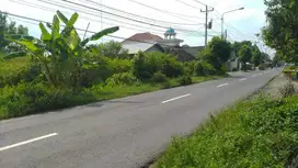 Tanah Pekarangan Luas dijual di Dekat Jl Paris Tembi Bantul Yogyakarta