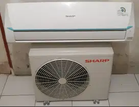 Ac sharp 1/2 pk