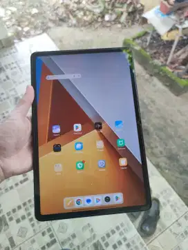 Poco pad pro 8/256