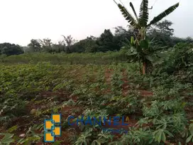 Jual Kavling Di Mekar Jaya Rumpin Bogor, Nn