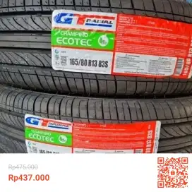GT Radial Champiro ecotec 165/80 R13