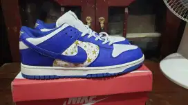 Nike SB dunk supreme