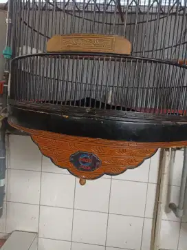 Sangkar Murai Batu no 1