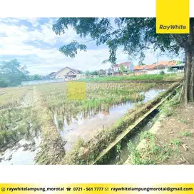 Disewakan Tanah di Metro Pusat, Metro (Kode : SA3261)