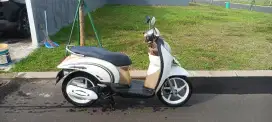 Scoopy Karbu Pajak On