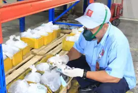 Lowongan QC Rangkap Gudang