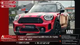 Mini Cooper Countryman Minicooper Countryman F60 1.5L Turbo 138HP