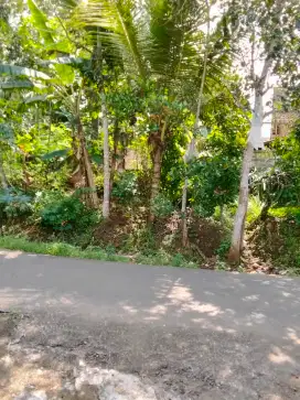 Tanah kebun 349 m²