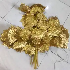 Daun mepel lusinan