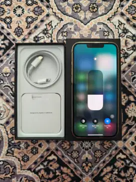 IPHONE 13 PRO 256GB RESMI BEA CUKAI
