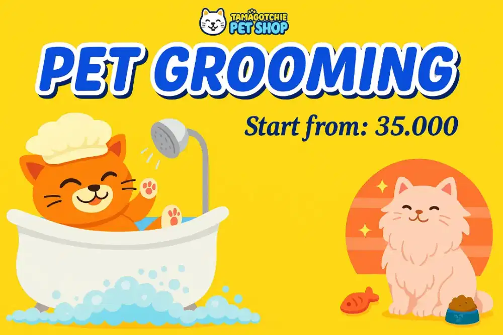 Jasa memandikan kucing area entalsewu buduran