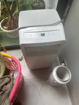 Ac standing 1/2 pk