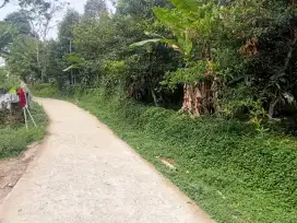 Dijual kebun Pancawati