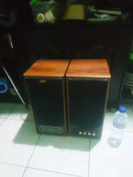 Salon aktif normal