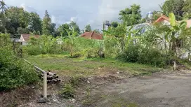 Lahan bagus sleman