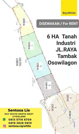 Disewakan 6 Ha Tanah Raya Tambak Osowilangon Romokalisari Benowo